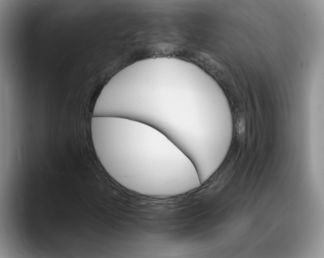 X0000089901204200707192026