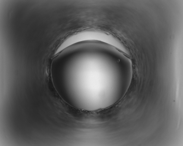X0000089901206200707192026