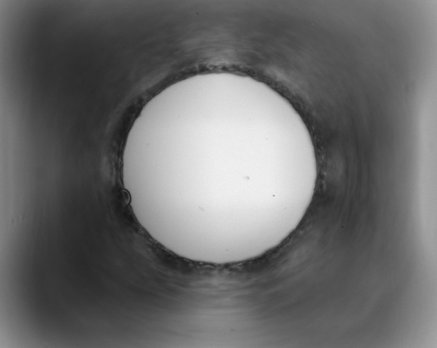 X0000089901207200707192026