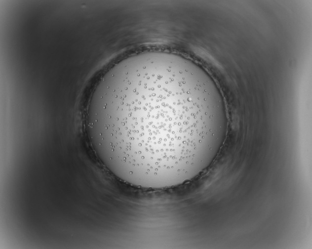 X0000089901208200707192026