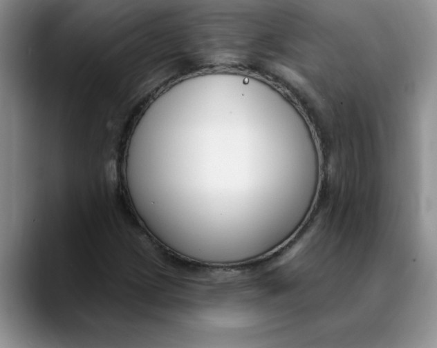 X0000089901209200707192026