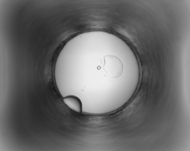X0000089901211200707192026