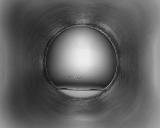 X0000089901217200707192027