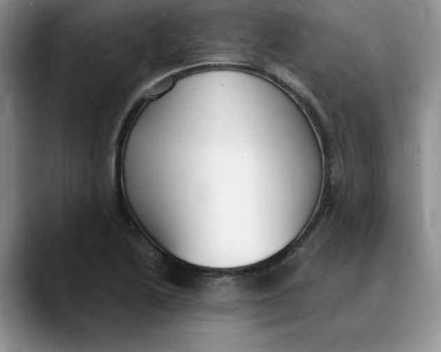X0000089901222200707192027