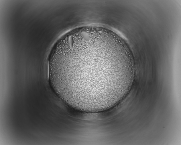 X0000089901223200707192027