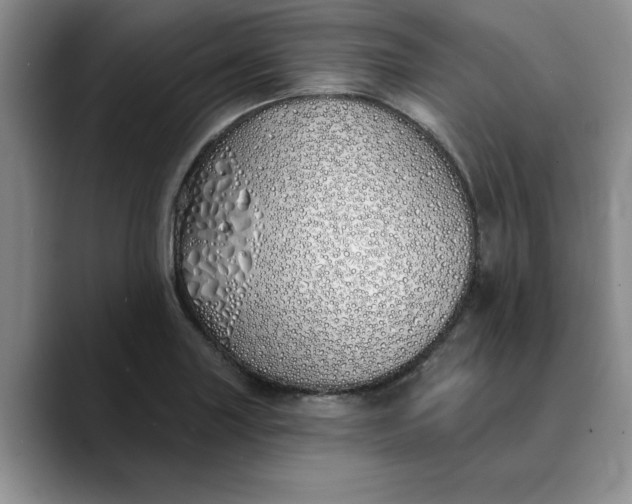 X0000089901227200707192027