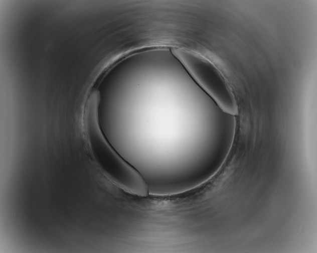 X0000089901230200707192027