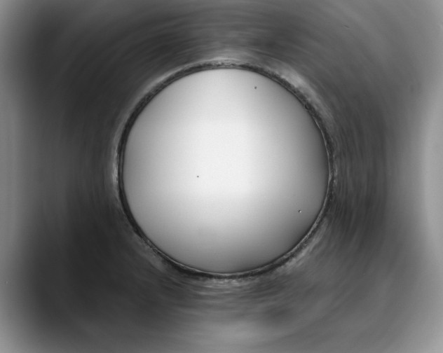 X0000089901232200707192027