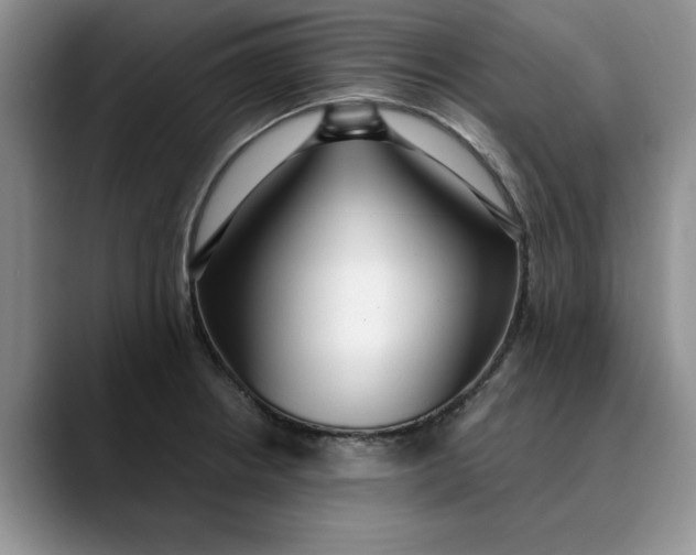X0000089901234200707192027