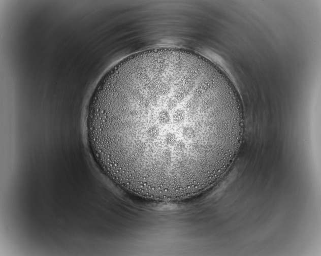 X0000089901235200707192027