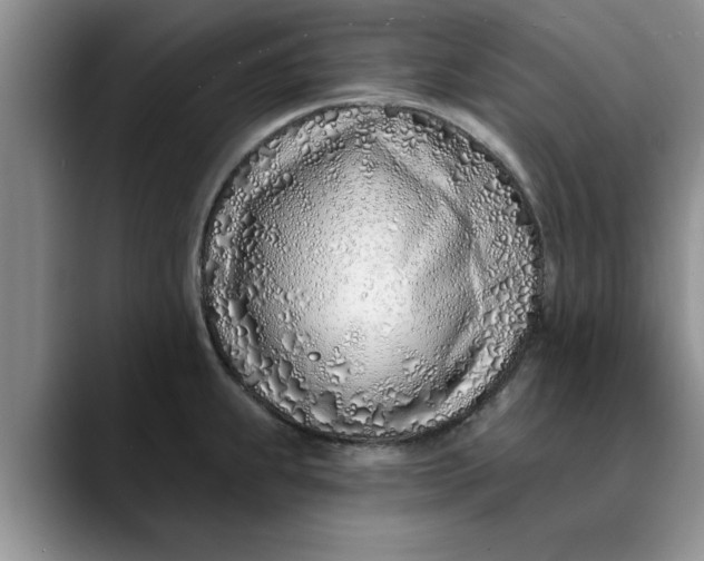X0000089901239200707192027