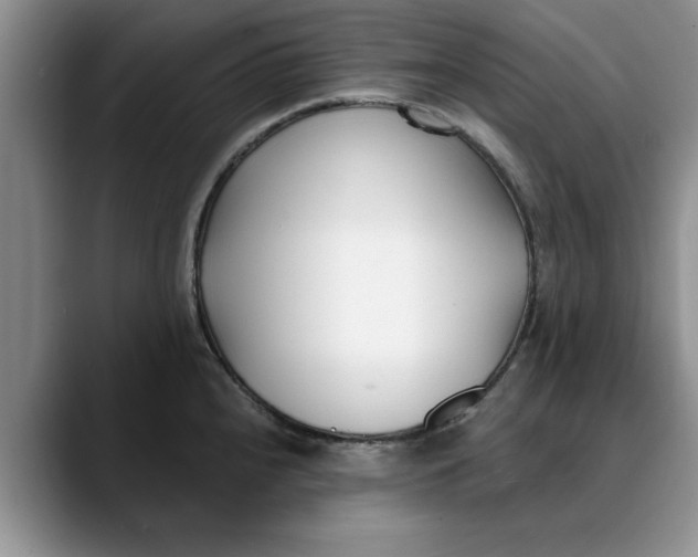 X0000089901240200707192027