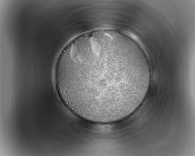 X0000089901243200707192027