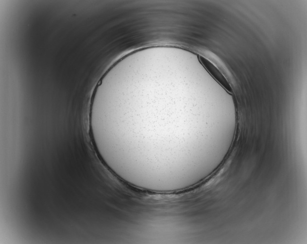 X0000089901244200707192027