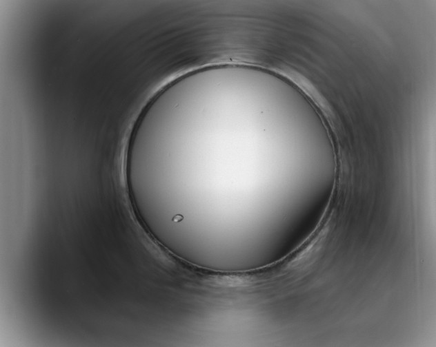 X0000089901246200707192027
