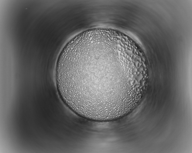 X0000089901247200707192027