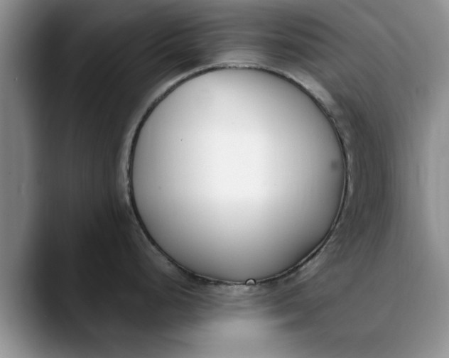 X0000089901248200707192027
