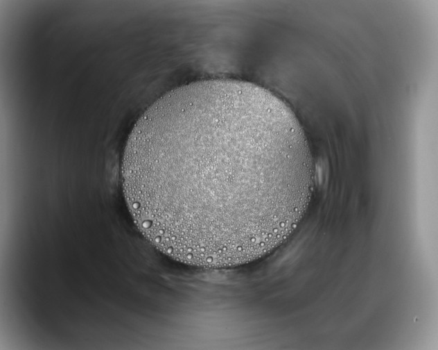 X0000089901251200707192026