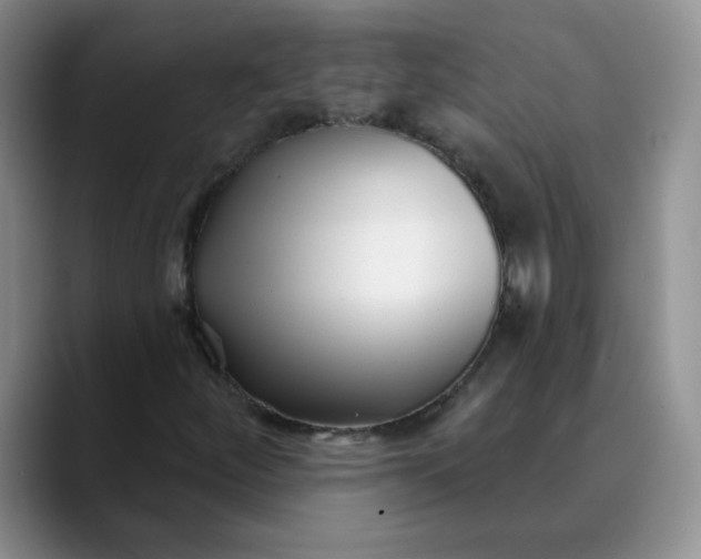 X0000089901252200707192026