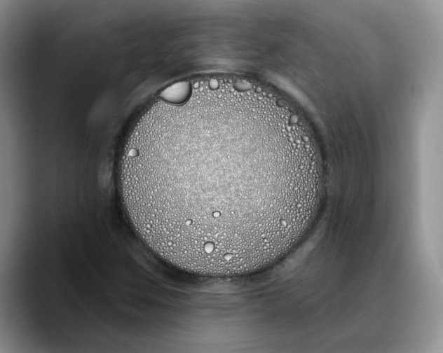 X0000089901259200707192026