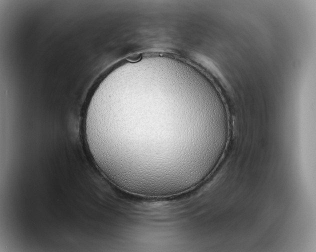 X0000089901260200707192026