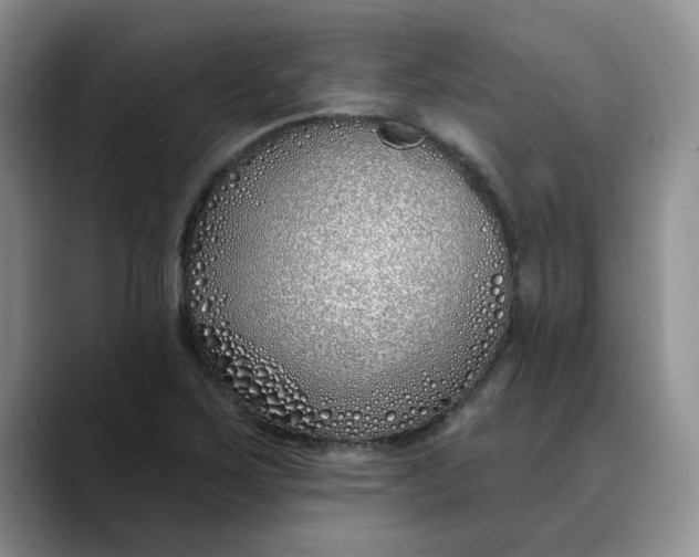 X0000089901267200707192026