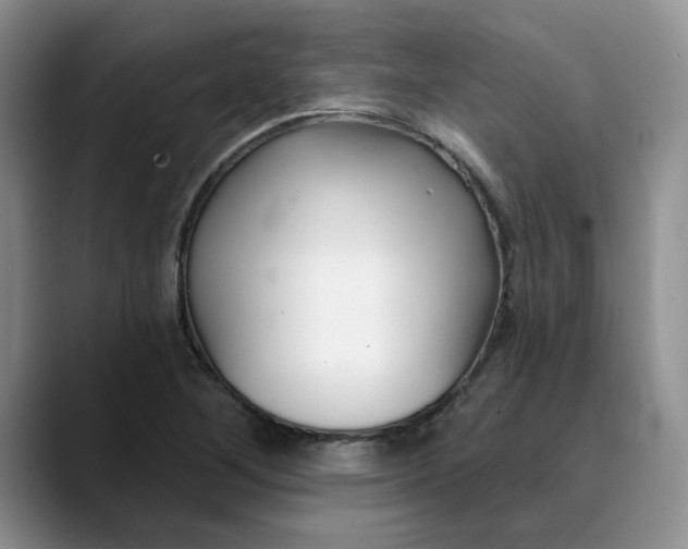 X0000089901268200707192026
