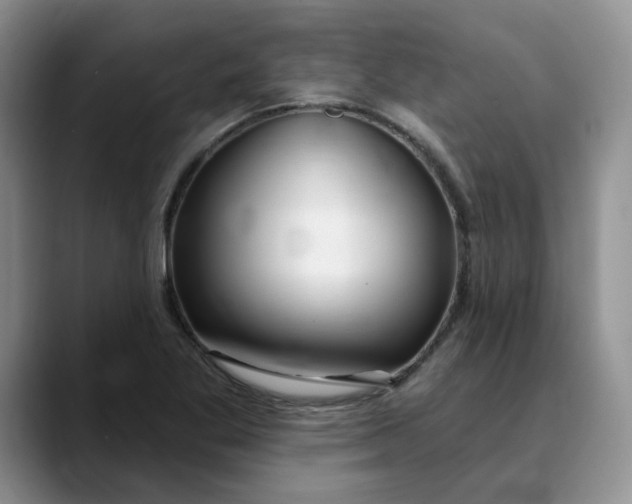 X0000089901269200707192026