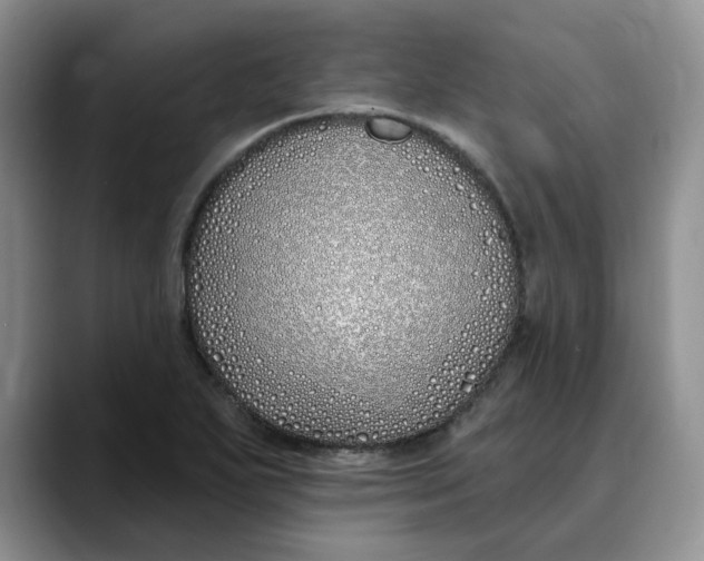 X0000089901271200707192026