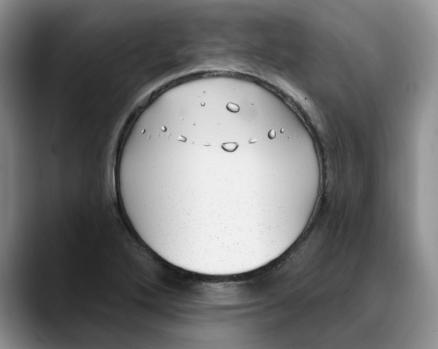 X0000089901272200707192026
