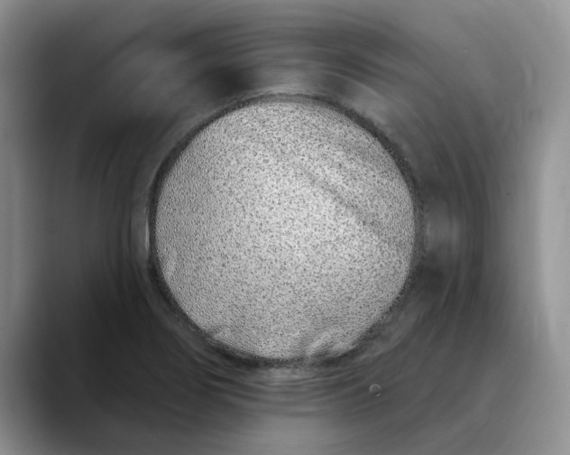 X0000089901274200707192026