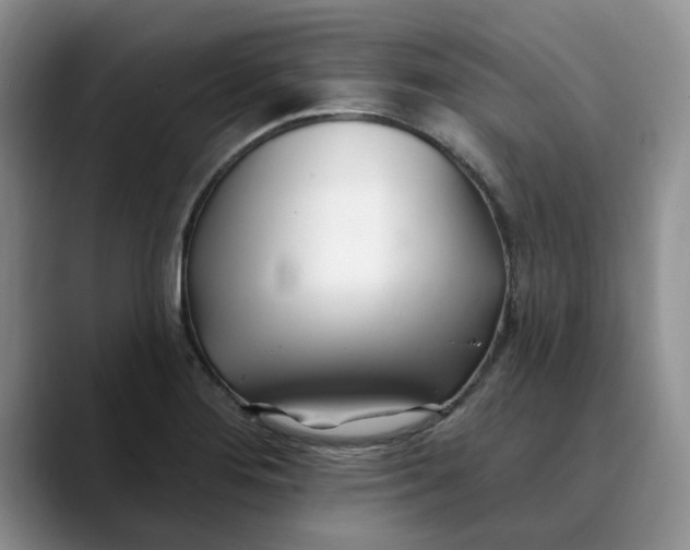 X0000089901276200707192026