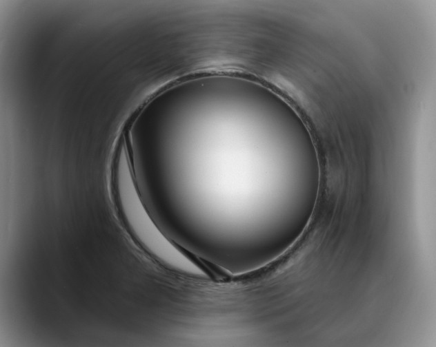 X0000089901277200707192026