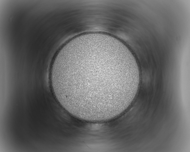 X0000089901278200707192026