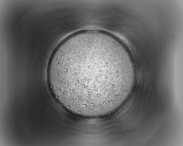 X0000089901279200707192026