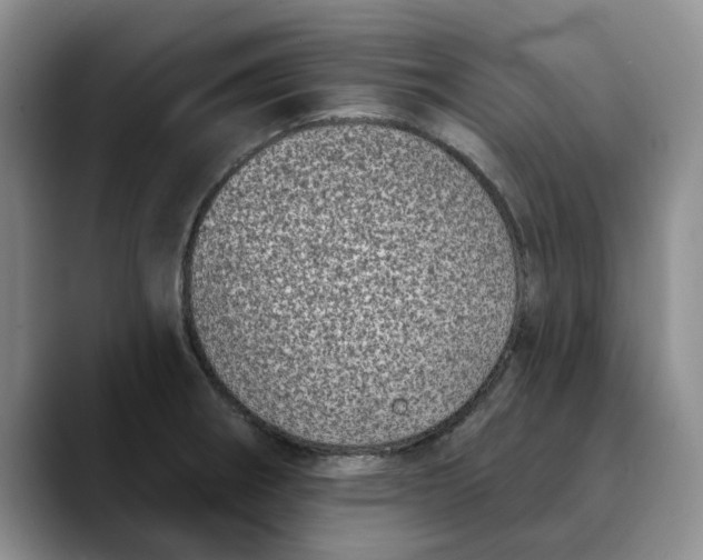 X0000089901282200707192026
