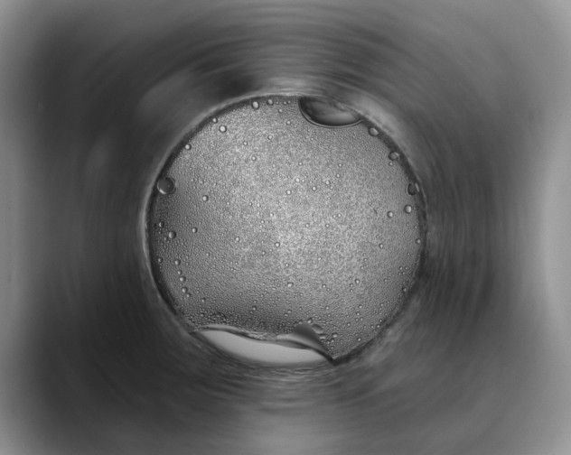 X0000089901283200707192026
