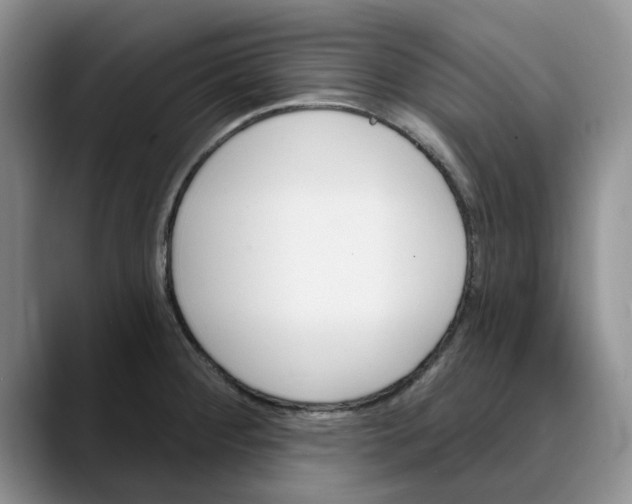 X0000089901284200707192026