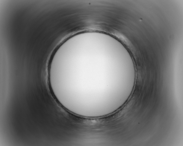 X0000089901286200707192026