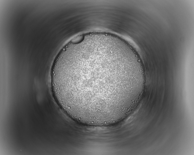 X0000089901287200707192026