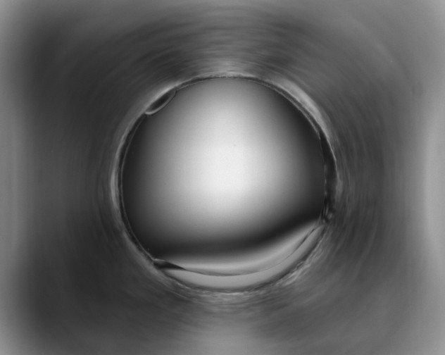 X0000089901293200707192026