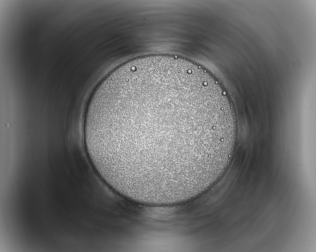X0000089901294200707192026