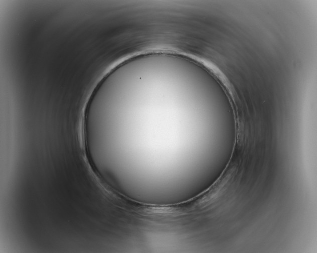 X0000089901295200707192026