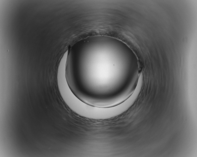 X0000089901298200707192025