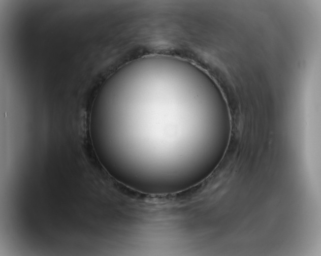 X0000089901301200707192025
