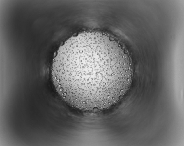 X0000089901302200707192025