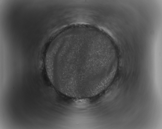 X0000089901303200707192025
