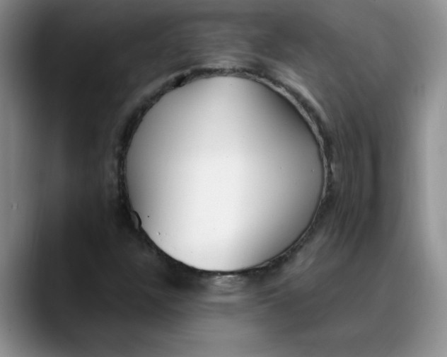 X0000089901304200707192025