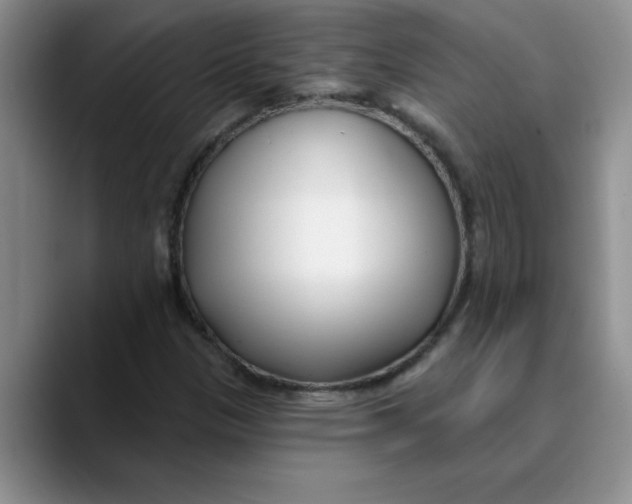 X0000089901305200707192025