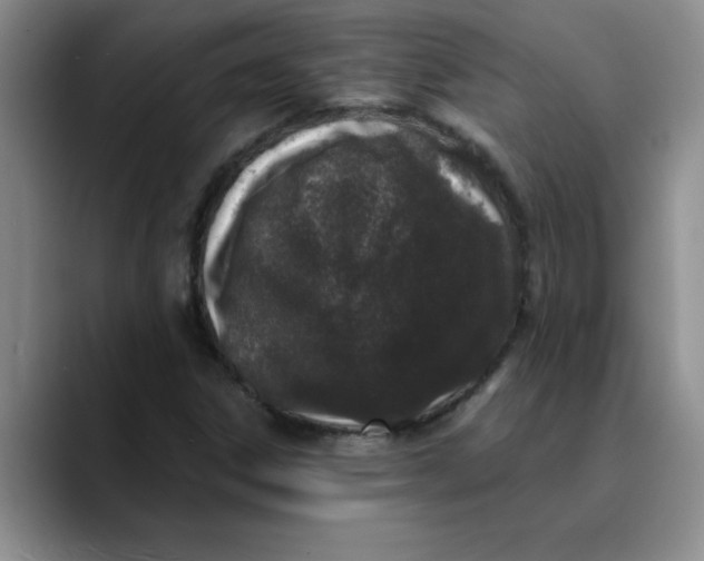 X0000089901306200707192025
